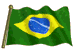 la sele&ccedil;ao